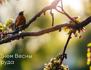 С Днём Весны и Труда!